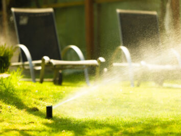 6-Step Lawn Watering Guide to Establish Grass from Seed for Best Results